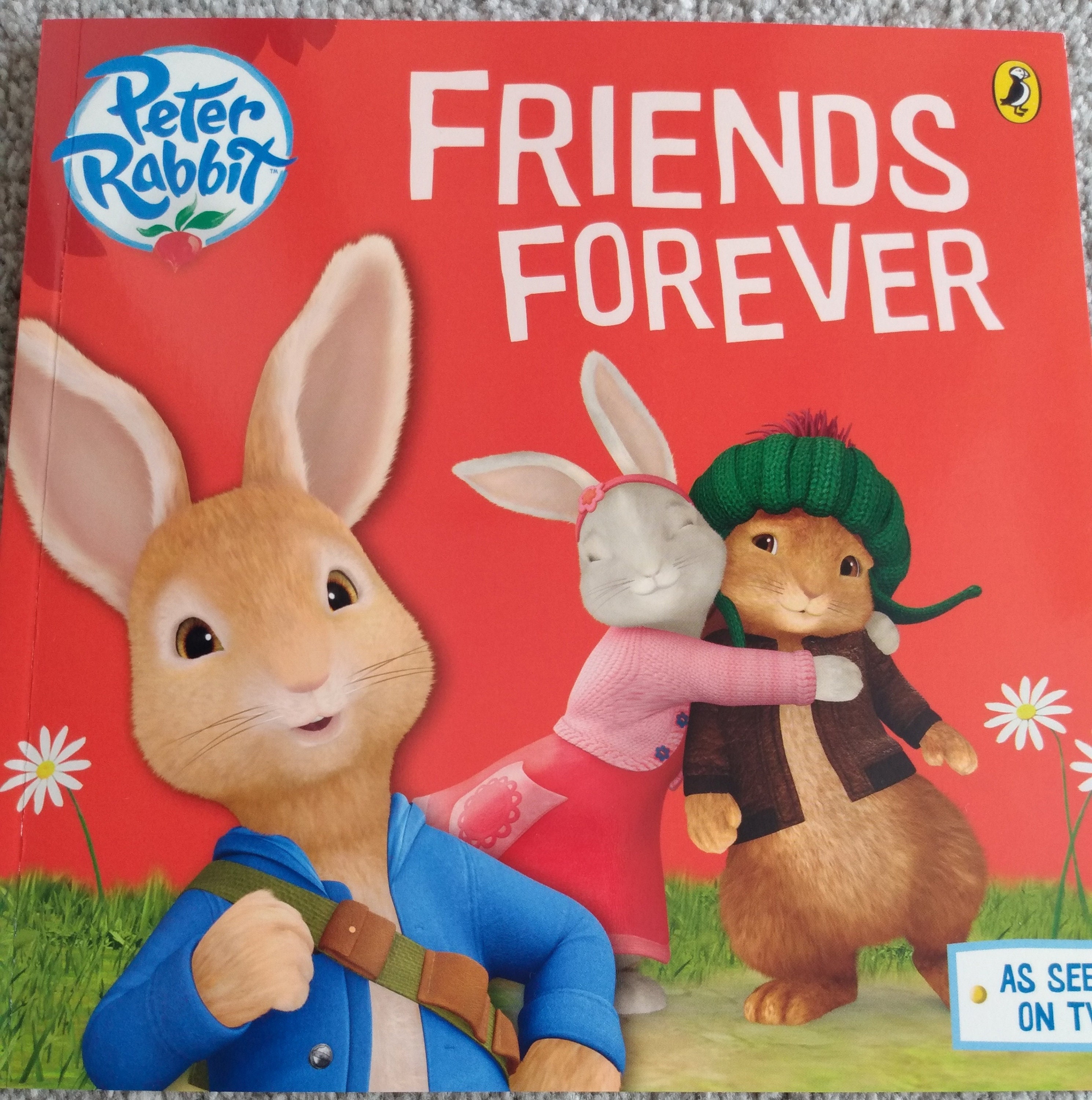 Story Kids Craft Kit Peter Rabbit Oliver's Wood | Etsy