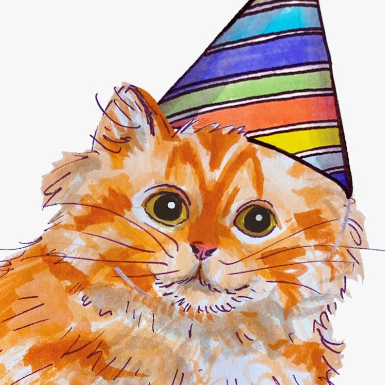 Orange Cat Birthday Card Card Pack Birthday Card Pack for Adults or ...