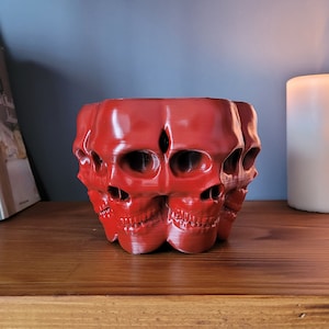 Skull Planter | Multi Face Pot | Flower Ornaments | Skull Gift | Home Garden Decor | Skull Succulent Organizer