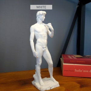 David Statue Bust | Michelangelo&#39;s Sculpture of David | Modern Art Decorative Object | Different Sizes and Colors David Statue