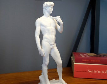 David Statue Bust | Michelangelo's Sculpture of David | Modern Art Decorative Object | Different Sizes and Colors David Statue