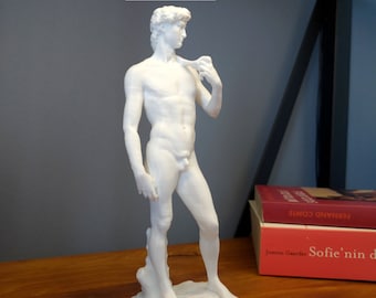 David Statue Bust | Michelangelo's Sculpture of David | Modern Art Decorative Object | Different Sizes and Colors David Statue
