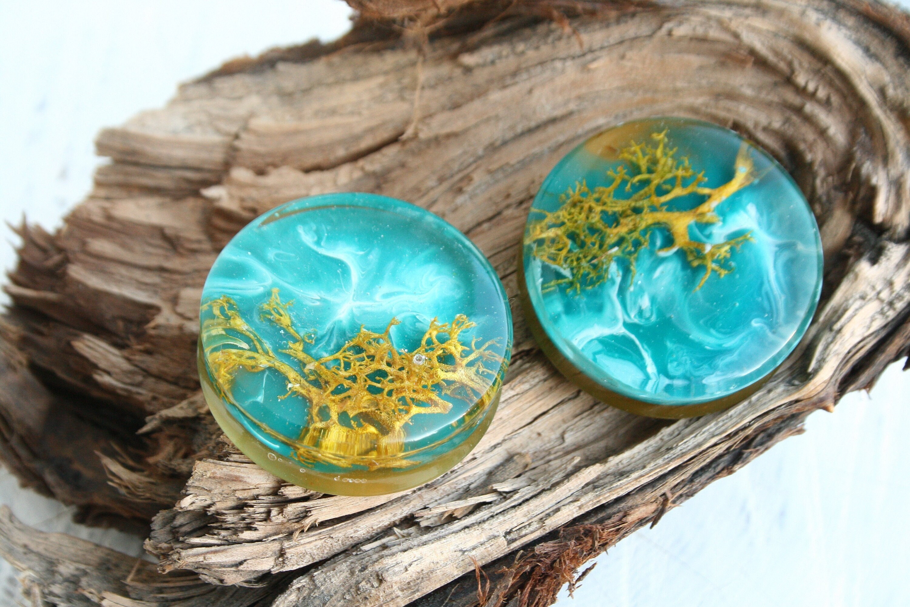 Epoxy resin hotsell ear gauges