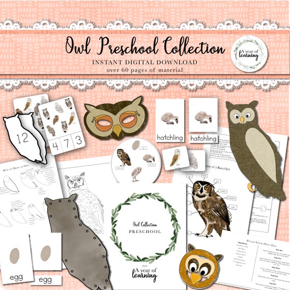 Owl Preschool Collection