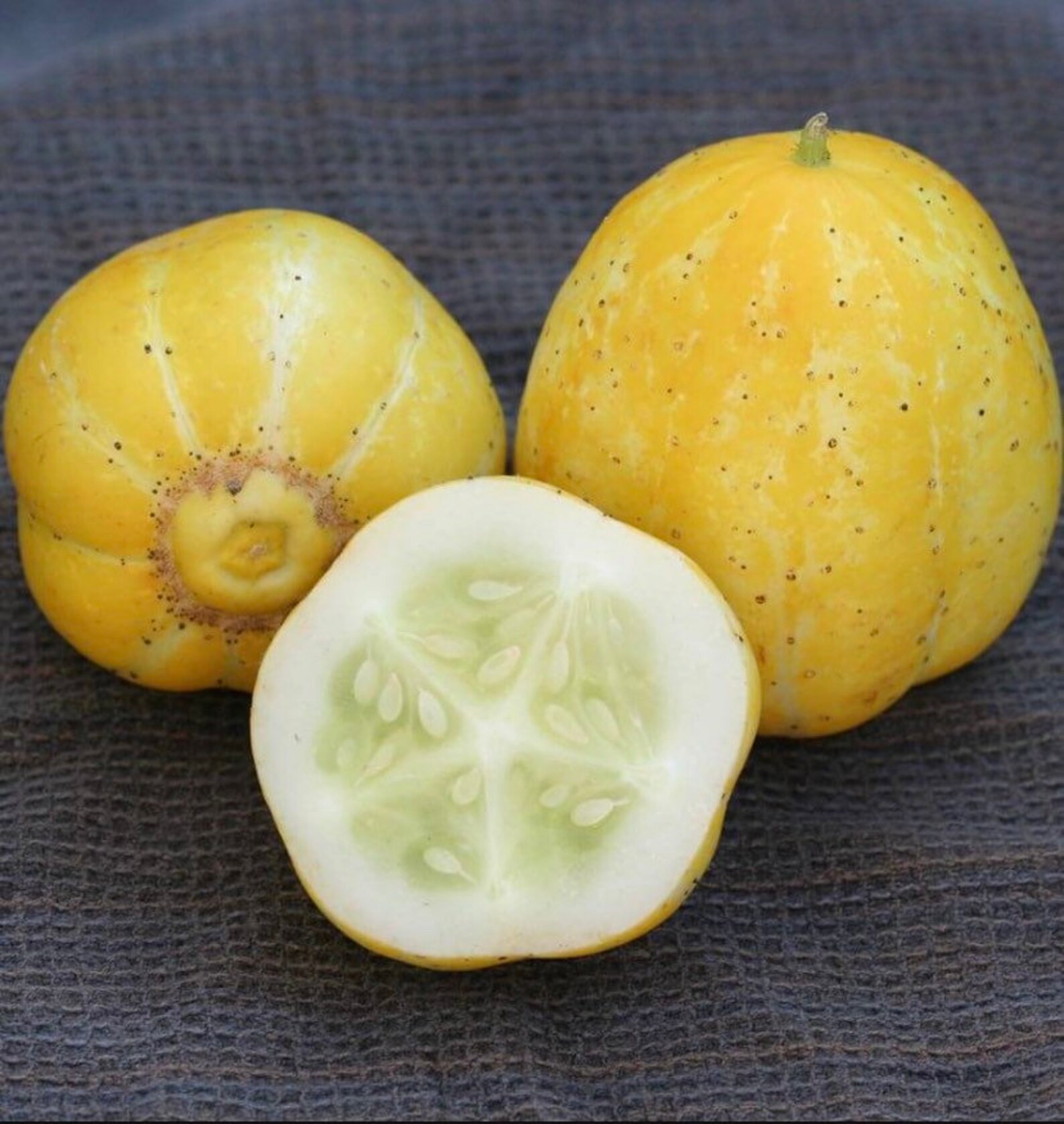 Cucumber Yellow Lemon Round Variety Non GMO Heirloom Etsy