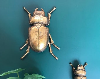 Stag Lady Beetle Wall Art. Insect Décor. Decorative aged gold finish