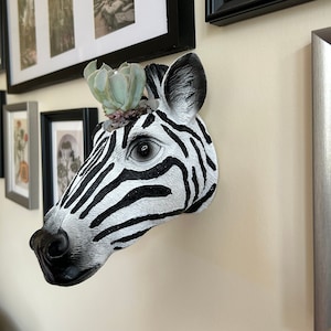 May include: A black and white zebra head planter with a small succulent plant growing out of the top. The planter is mounted on a white wall.