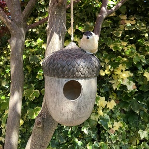 Hanging Acorn Bird House Nesting box