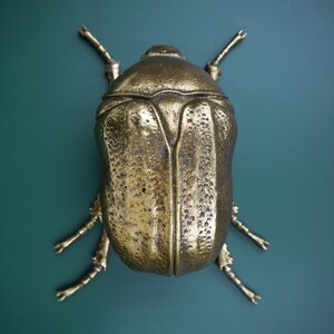 Scarab Beetle Wall Art. Insect Décor. Decorative Aged Gold Finish - Etsy