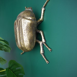 Scarab Beetle Wall Art. Insect Décor. Decorative Aged Gold Finish - Etsy