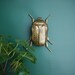 Scarab Beetle Wall Art. Insect Décor. Decorative Aged Gold Finish - Etsy