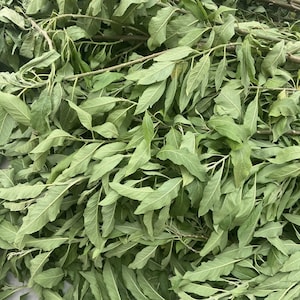 Bitter leaf- Dry; 2oz freshly harvested and dried. Buy 4 get 1 free