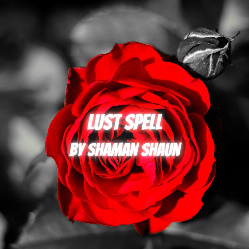 May include: A vibrant red rose with the text "LUST SPELL BY SHAMAN SHAUN" in white, set against a black and white blurred background. The image features a fully bloomed rose and a bud.
