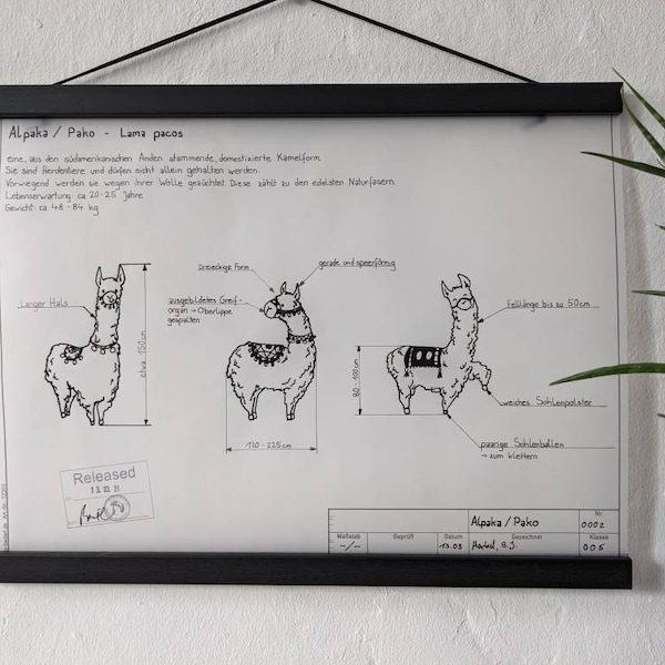 Technische Zeichnung Alpaka - Handzeichnung, Tuschezeichnung