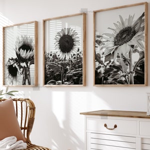 Sunflower Print Set of 3, Floral Botanical Print Set, Fall Sunflowers Printable Wall Decor, Gallery Wall Art, Vintage Black and White Poster