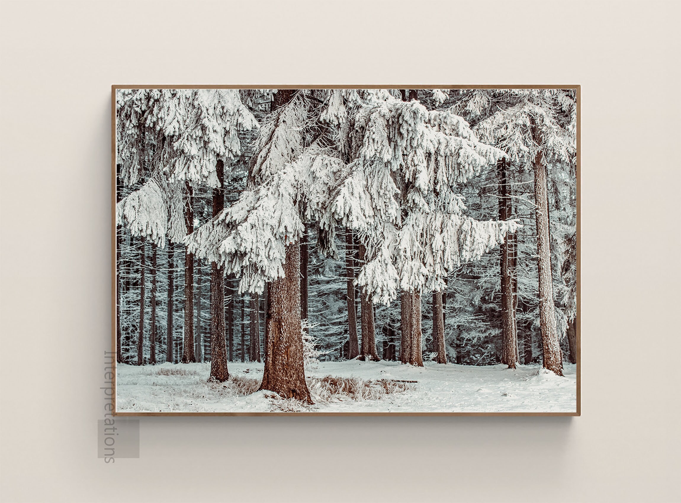 Snow on Trees  SMH Illustration & Design