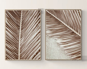 May include: Two framed prints of close-up images of a brown palm leaf. The leaf has a light brown and white striped pattern.