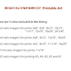 May include: A list of five different image ratios and their corresponding print sizes in inches. The ratios include 2x3, 3x4, 4x5, 11x14, and ISO. The ISO ratio includes sizes A5, A4, A3, A2, and A1.