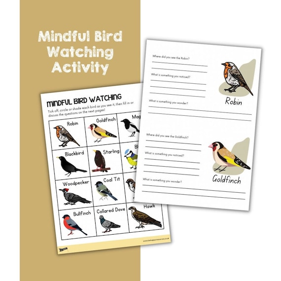Mindful Bird Watching Activity for Kids Etsy