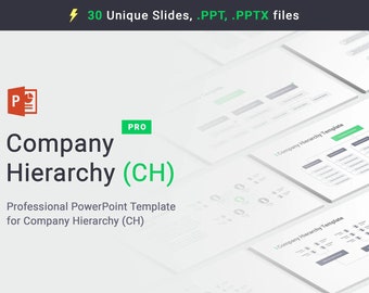 Company Hierarchy PowerPoint template