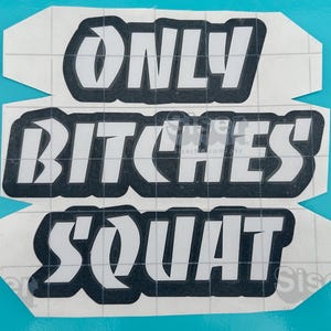 Truck Vinyl &quot;Only Bitches Squat&quot; Funny Offroad Decal, Lifted Truck Humor Sticker, Sassy Car & Bumper Decor