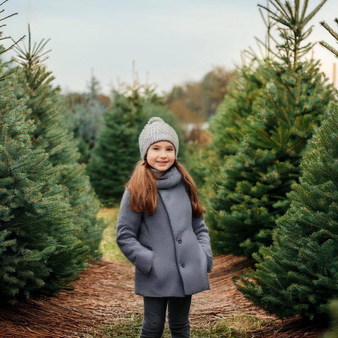 Christmas Tree Farm Digital Background, Christmas Tree Background ...