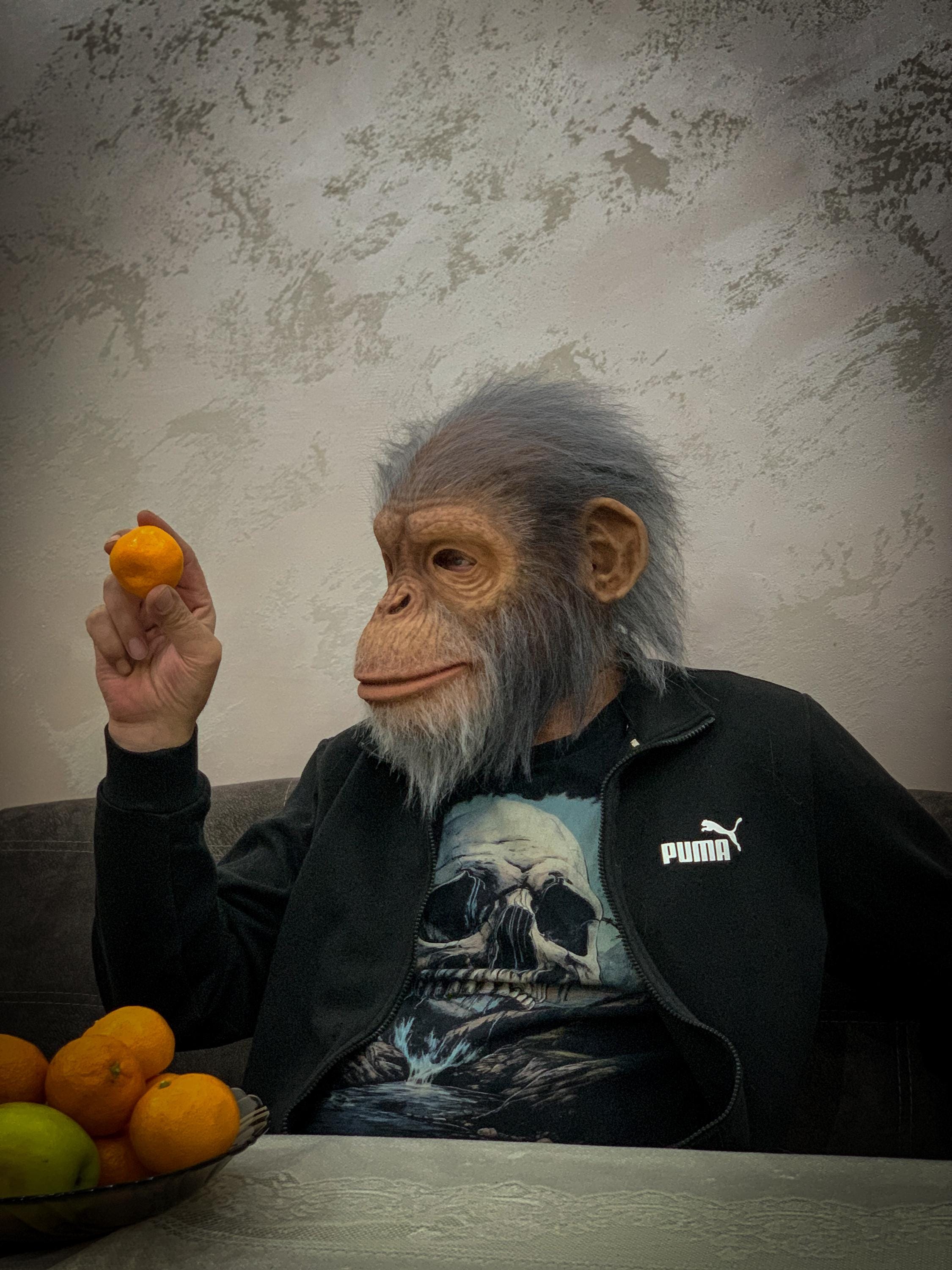 monkey smoking cigarette hangover 2 Steam Workshop::monkey the Hangover II monkey not a