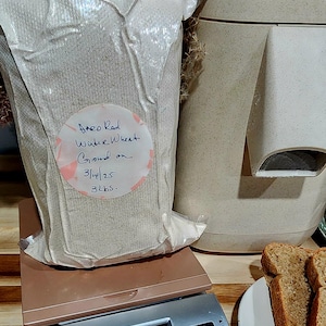 May include: A bag of ground red winter wheat, labeled "Hard Red Winter Wheat Ground on 3/14/25 3 lbs," sits on a digital scale displaying 3.18 oz. A Mockmill grain mill is in the background, with slices of bread on a plate.