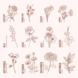 K&ouml;nnte beinhalten: Eine Vintage-Illustration von Blumen, die jeden Monat des Jahres repr&auml;sentieren. Die Blumen sind in brauner Tinte auf wei&szlig;em Hintergrund gezeichnet. Januar wird durch eine Nelke, Februar durch eine Veilchen, M&auml;rz durch eine Narzisse, April durch eine G&auml;nsebl&uuml;mchen, Mai durch ein Maigl&ouml;ckchen, Juni durch eine Rose, Juli durch eine Seerose, August durch eine Gladiole, September durch eine Winde, Oktober durch eine Kosmee, November durch eine Chrysantheme und Dezember durch Stechpalme dargestellt.