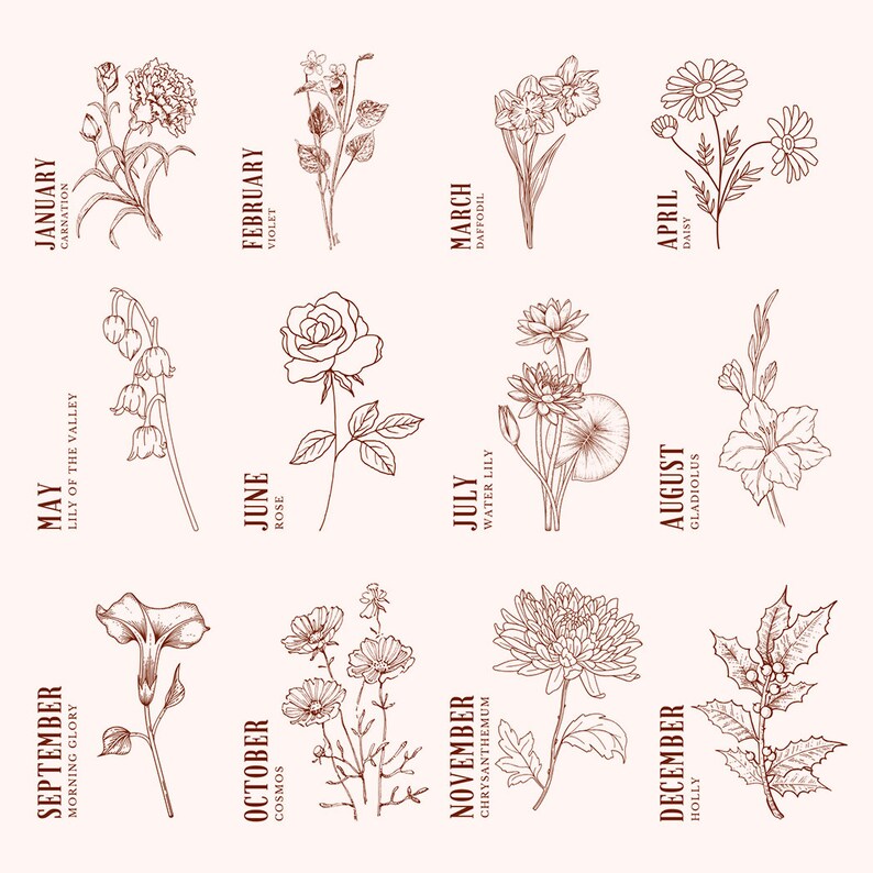 K&ouml;nnte beinhalten: Eine Vintage-Illustration von Blumen, die jeden Monat des Jahres repr&auml;sentieren. Die Blumen sind in brauner Tinte auf wei&szlig;em Hintergrund gezeichnet. Januar wird durch eine Nelke, Februar durch eine Veilchen, M&auml;rz durch eine Narzisse, April durch eine G&auml;nsebl&uuml;mchen, Mai durch ein Maigl&ouml;ckchen, Juni durch eine Rose, Juli durch eine Seerose, August durch eine Gladiole, September durch eine Winde, Oktober durch eine Kosmee, November durch eine Chrysantheme und Dezember durch Stechpalme dargestellt.