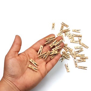 May include: A hand holding a large quantity of small wooden clothespins. The clothespins are natural wood color with a silver metal spring.