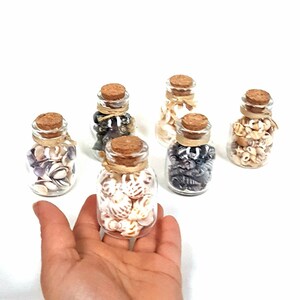 May include: Six small glass jars with cork tops filled with various seashells. The jars are arranged in a row on a white surface.