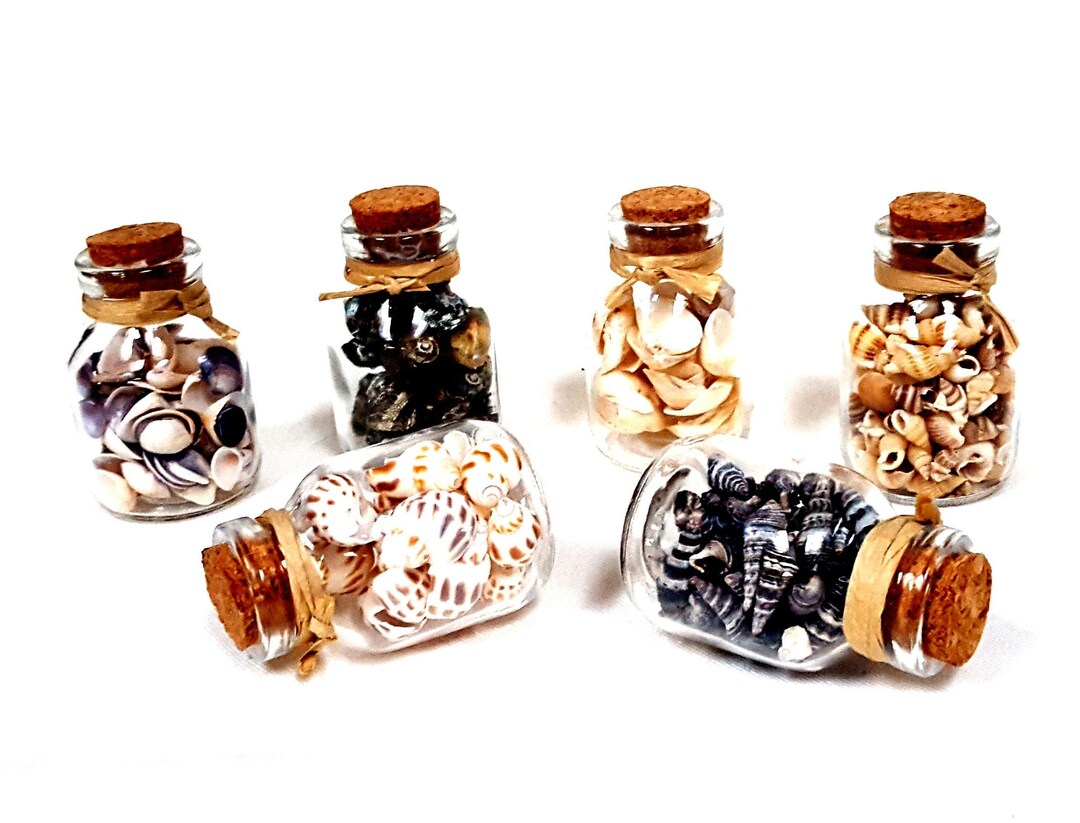 Tiny Decorative Sea Shells in a Jar for Beach Theme Party Etsy