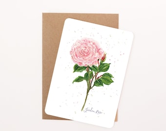 Pink English Garden Rose Floral Postcard: Watercolour Illustration, Rounded Corners with Eco-Kraft Envelope