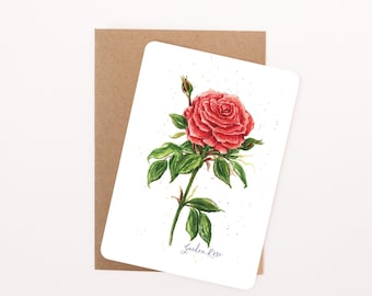Red English Garden Rose Floral Postcard: Watercolour Illustration, Rounded Corners with Eco-Kraft Envelope