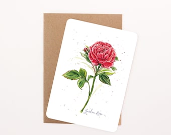 Light Red English Garden Rose Floral Postcard: Watercolour Illustration, Rounded Corners with Eco-Kraft Envelope