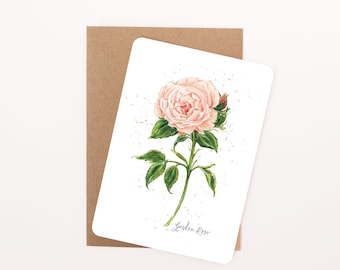 Orange English Garden Rose Floral Postcard: Watercolour Illustration, Rounded Corners with Eco-Kraft Envelope