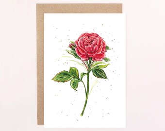 English Garden Red Rose Floral Greetings Card: Watercolour Rose Card, Birthday Card, Red Rose.