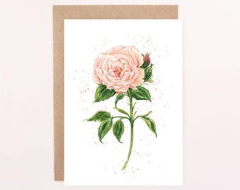 English Garden Orange Rose Floral Greetings Card: Watercolour Rose Card, Birthday Card, Orange Rose.