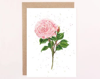 English Garden Pink Rose Floral Greetings Card: Watercolour Rose Card, Birthday Card, Pink Rose.
