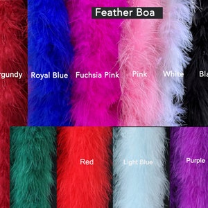 Peut inclure: Assortiment de boas en plumes de diff&eacute;rentes couleurs, notamment bordeaux, bleu royal, rose fuchsia, rose, blanc, noir, vert, rouge, bleu clair et violet. Boa en plumes.