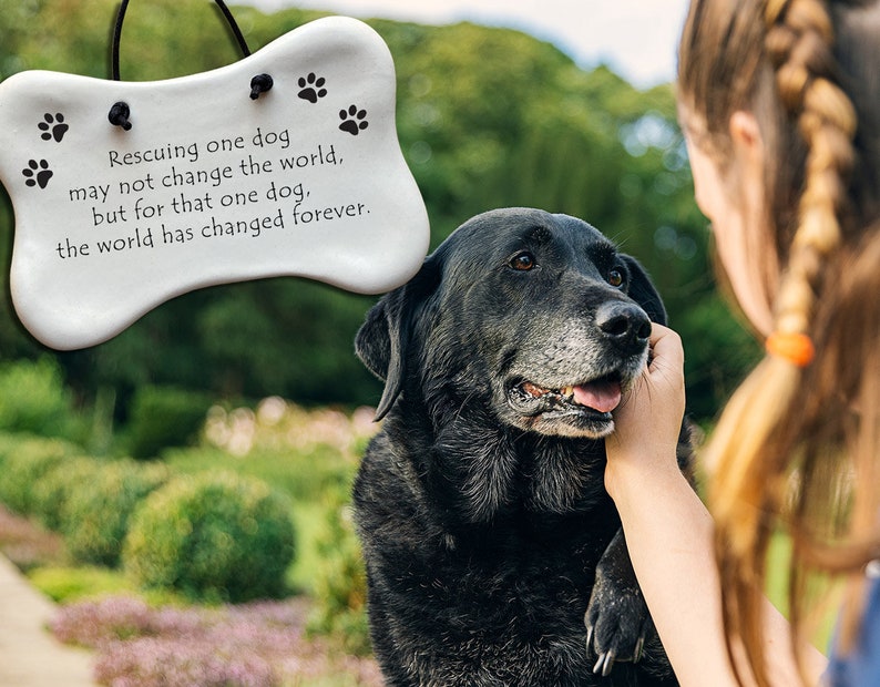 Rescuing one dog may not change the world but for that one dog the world has changed forever. Handmade ceramic hanging dog bone plaque by August Ceramics Gifts