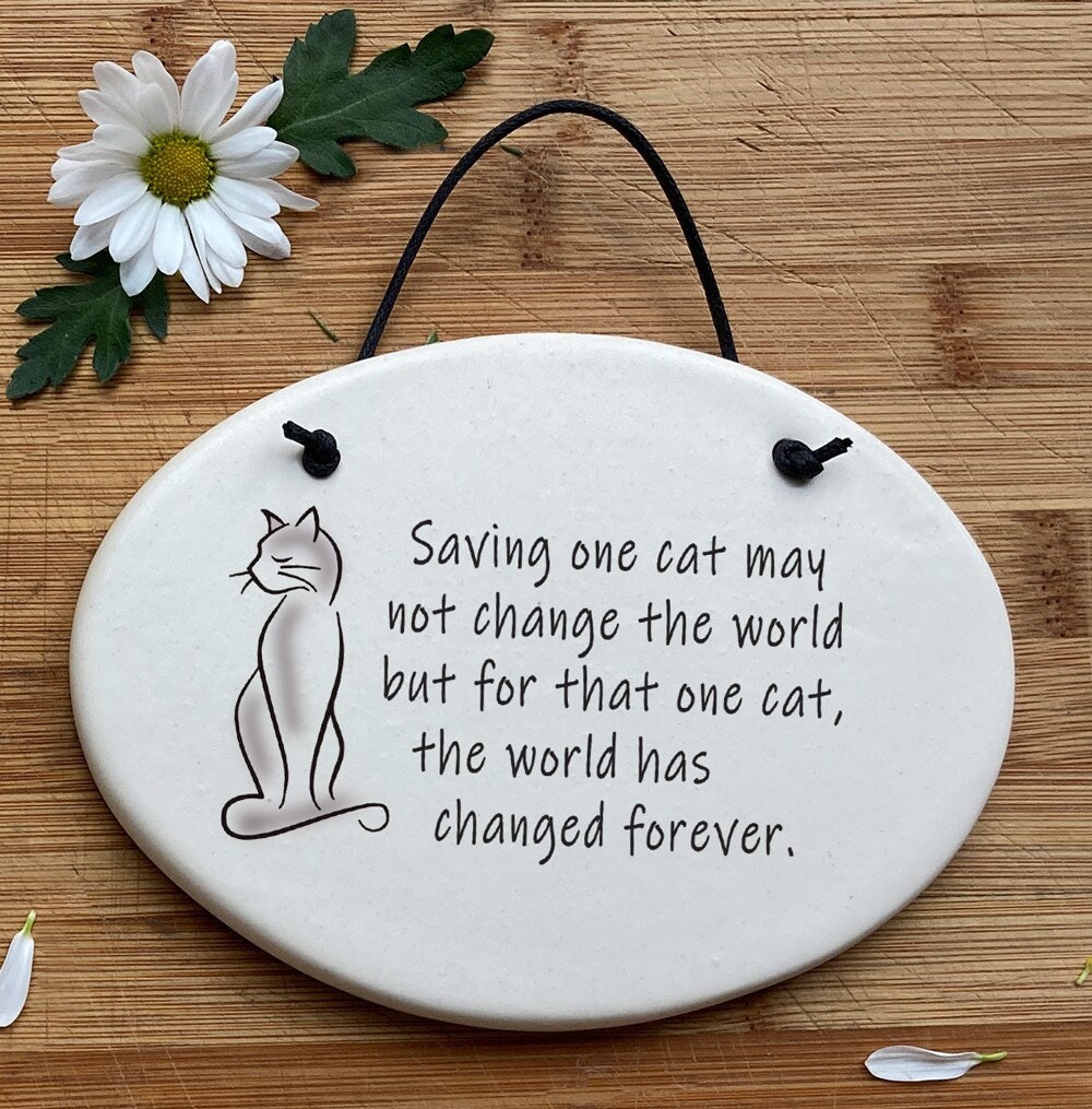 Saving One Cat May Not Change the World but for That One Cat the