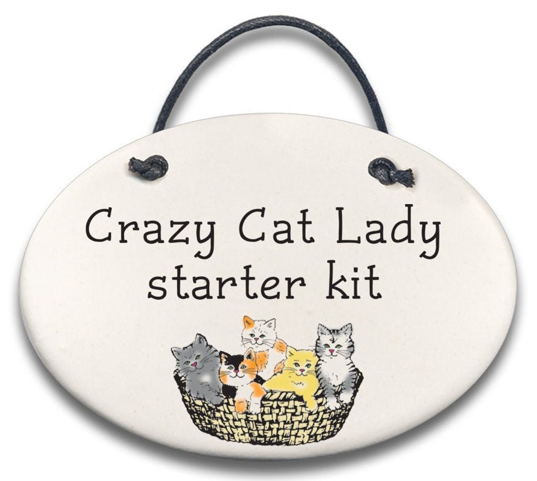 Crazy Cat Lady Starter Kit Etsy