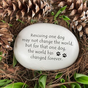 Rescuing one dog may not change the world but for that one dog the world has changed forever. Handmade ceramic garden stone by August Ceramics Gifts