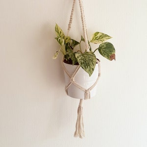 Peut inclure: Un pot en céramique blanche avec une plante panachée verte et blanche suspendue à un porte-plante en macramé.