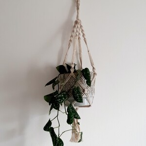 Peut inclure: Un porte-plante en macramé blanc avec une plante verte feuillue dans un pot en céramique blanc à motif géométrique.