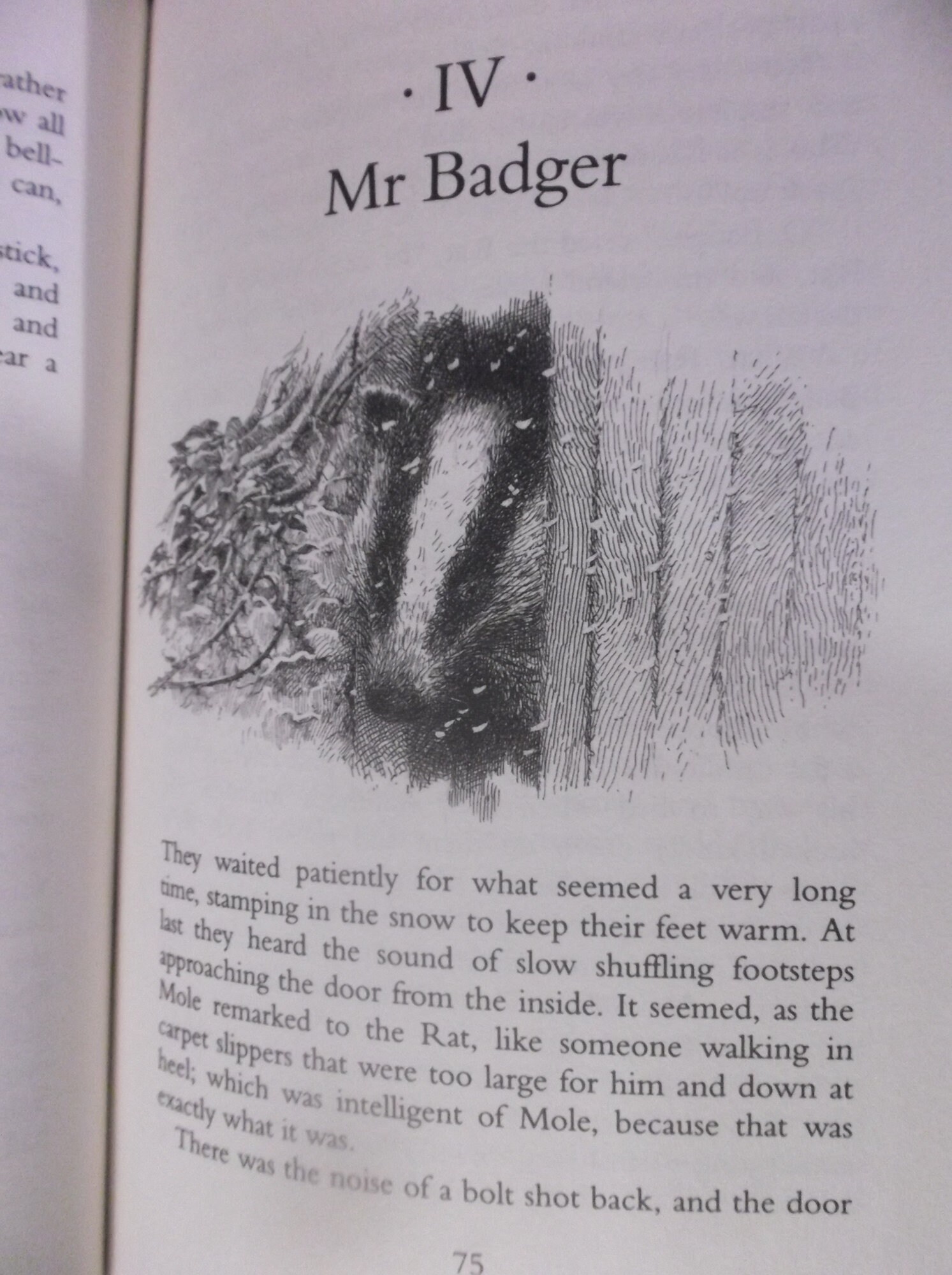 Wind in the Willows Adventures of Toad Mole Rat Badger Classic English ...