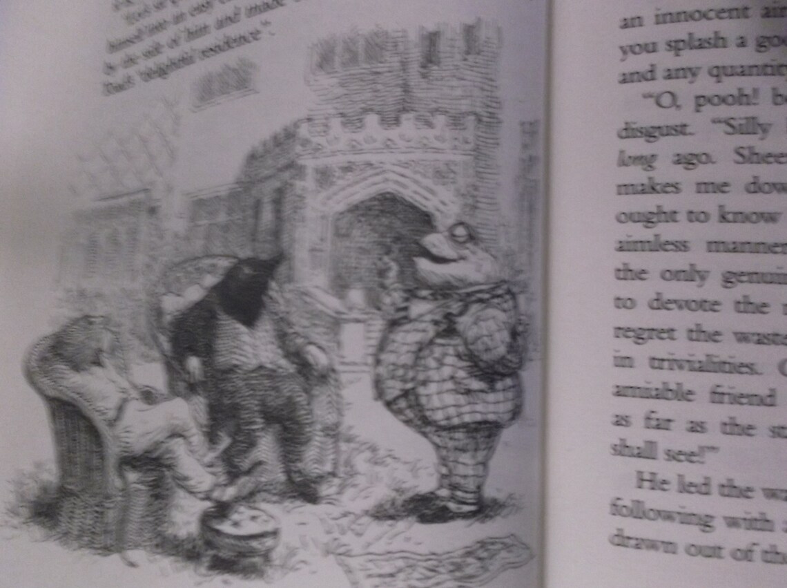 Wind in the Willows Adventures of Toad Mole Rat Badger Classic English ...