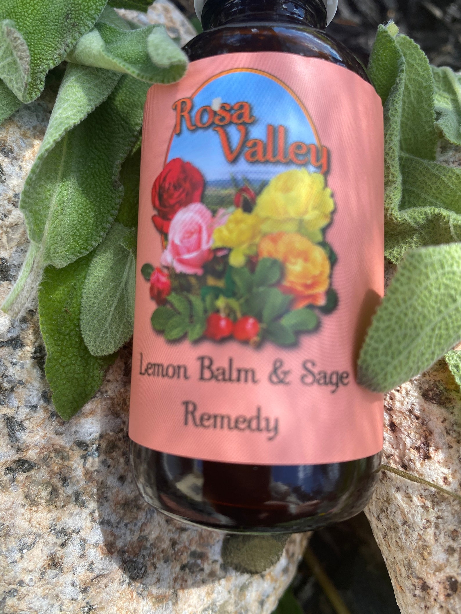 Lemon Balm & Sage Tincture Etsy